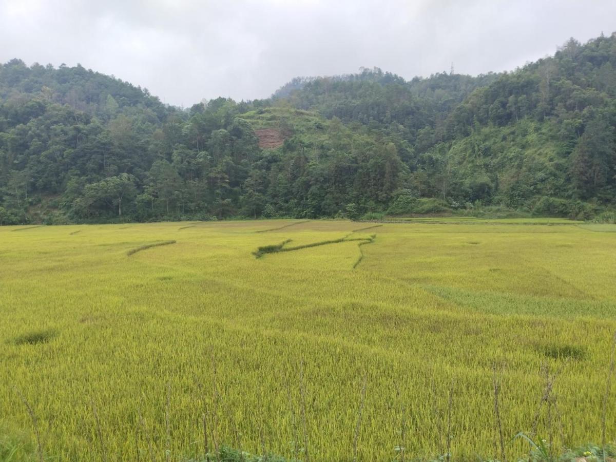 Homestay Kiên Mán Ha Giang Exterior foto